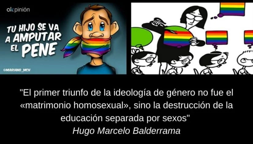 _El primer triunfo de la ideología de género no fue el «matrimonio homosexual», sino la destrucción de la educación separada por sexos_