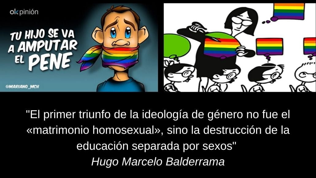 _El primer triunfo de la ideología de género no fue el «matrimonio homosexual», sino la destrucción de la educación separada por sexos_