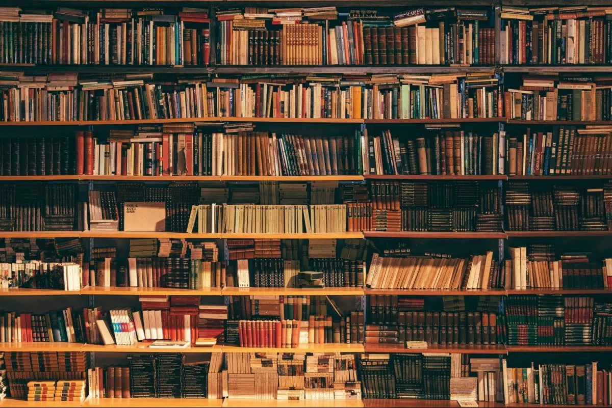 Biblioteca-casa-scaled-e1649339679565 Biblioteca-casa-scaled-e1649339679565